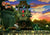 Donkey Kong Country Returns - Nintendo Wii Game.
