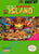 Adventure Island Nintendo NES Video Game - Gandorion Games
