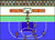 All-Pro Basketball Nintendo NES - Gandorion Games