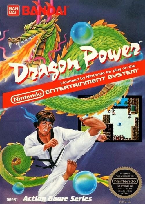 Dragon Power Nintendo NES Video Game - Gandorion Games