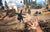 Far Cry 5 - PlayStation 4 - Gandorion Games