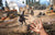 Far Cry 5 - Sony PlayStation 4 Game.