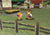 Harvest Moon: A Wonderful Life - GameCube - Gandorion Games