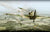 IL-2 Sturmovik Birds of Prey Sony PlayStation 3 - Gandorion Games