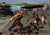  Mortal Kombat: Deception - PlayStation 2