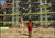 Outlaw Volleyball Microsoft Xbox Game