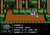 The Adventures of Gilligan's Island Nintendo NES Video Game - Gandorion Games
